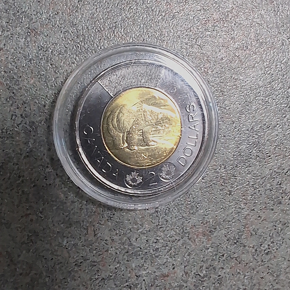 Black Toonie Queen Memorial. Uncirculated And Comes In A Plastic Coin Case,
